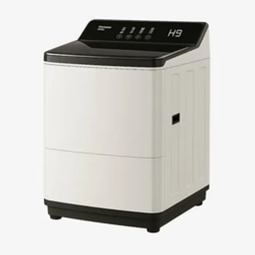 Top Load Washing Machine Repair